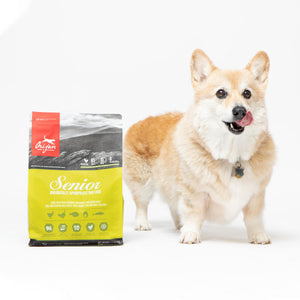 Orijen Senior Dog Food
