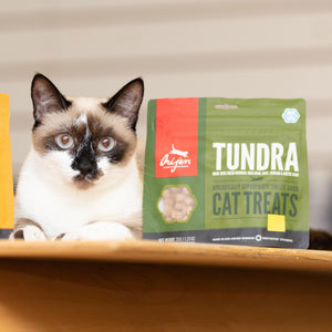 Orijen Cat Treats